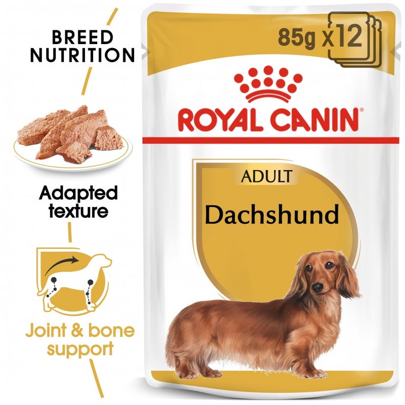 ROYAL CANIN Adult Dachshund - Pouch - 12*85g